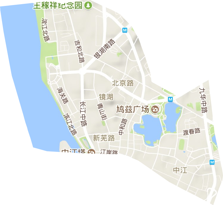 滨江公共服务中心地形图