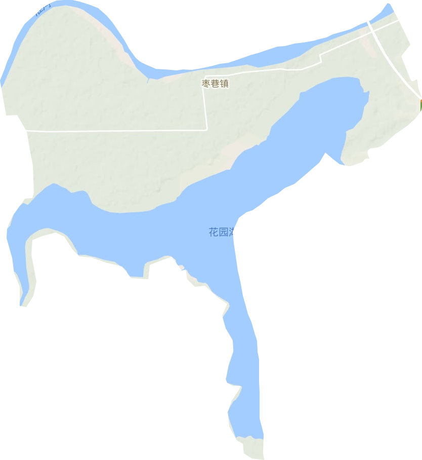 枣巷镇地形图