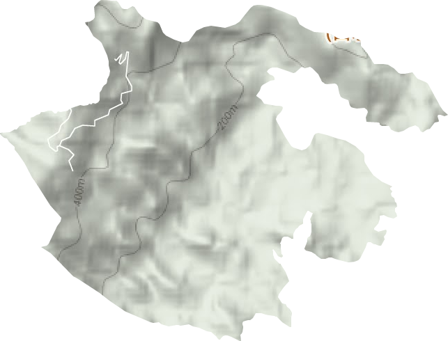 玳瑁山茶场地形图