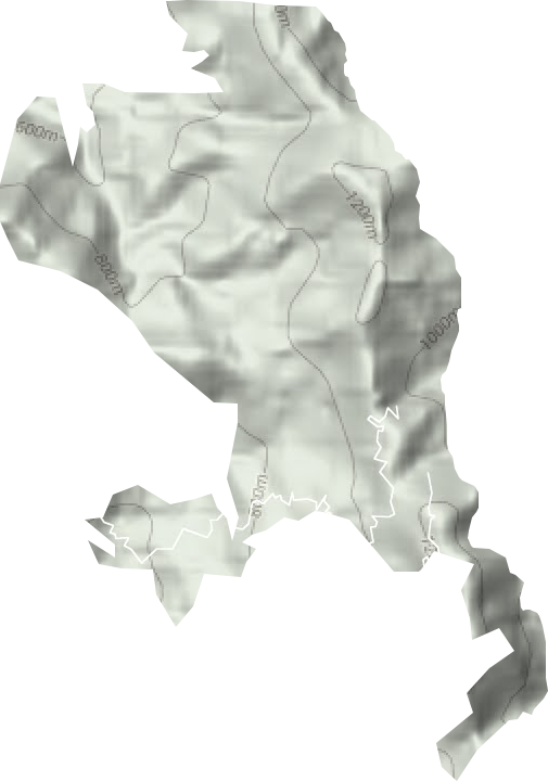 西窑林场地形图