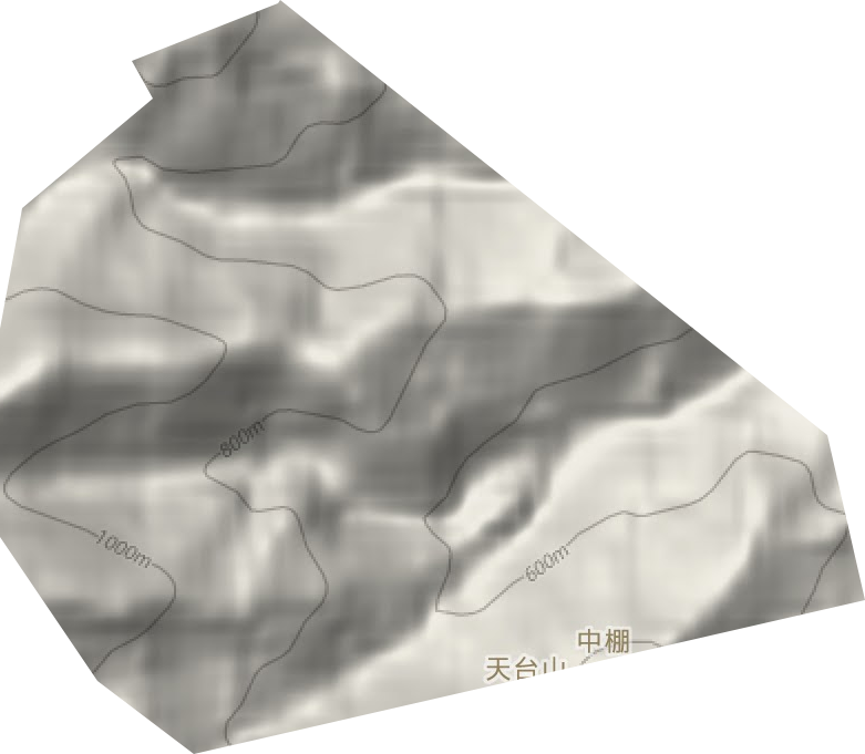 天台山林场地形图