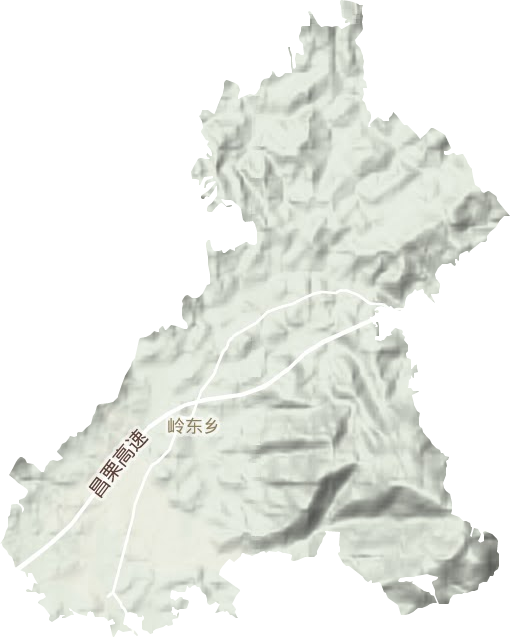 岭东乡地形图
