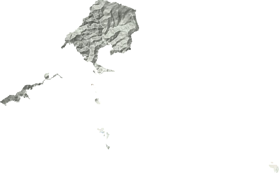 石花尖垦殖场地形图