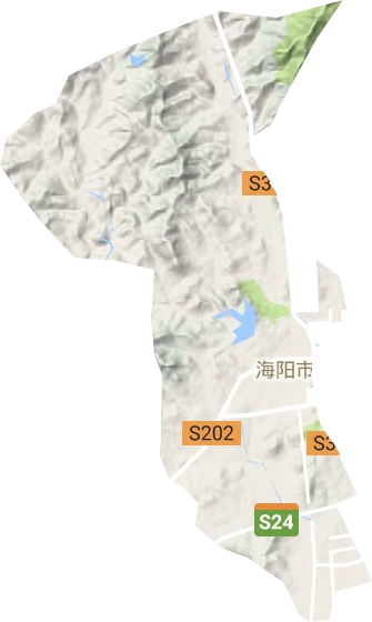 东村街道地形图