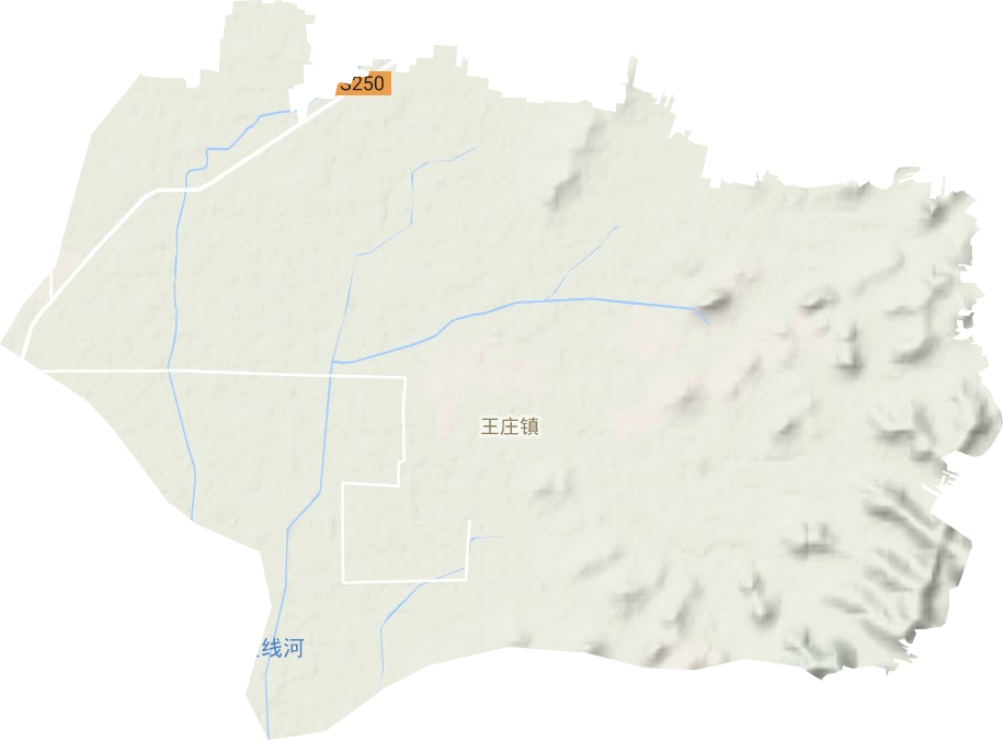 王庄镇地形图