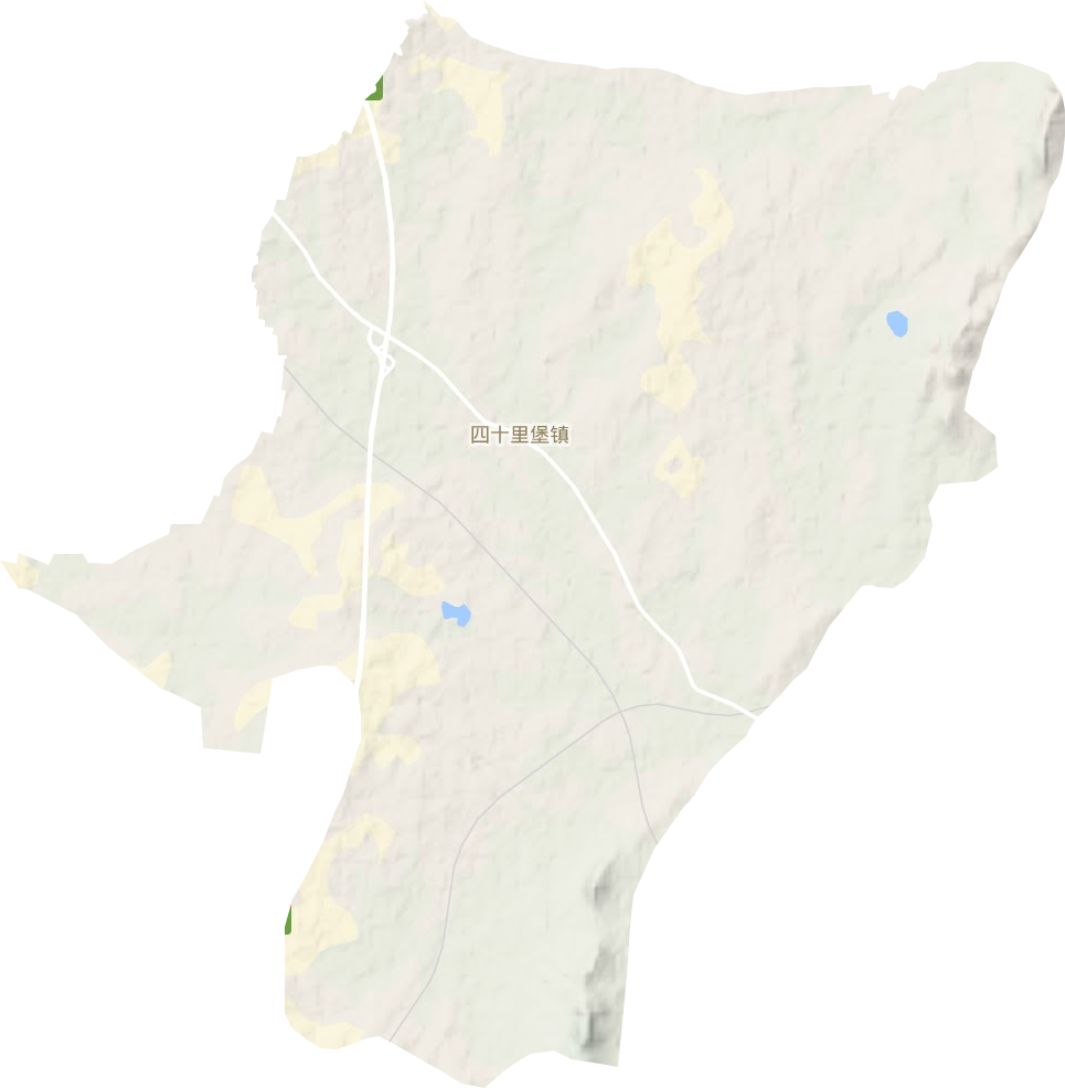 四十里堡镇地形图