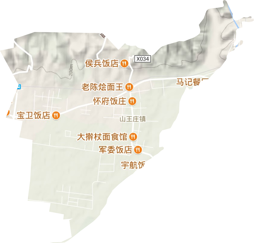 山王庄镇地形图