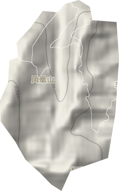 凤凰山茶场地形图