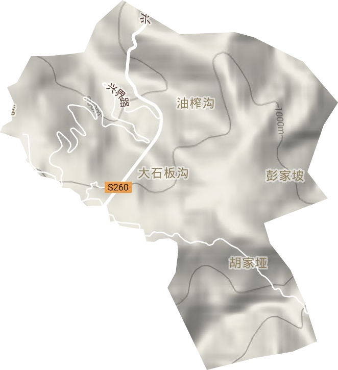 龙王垭茶场地形图