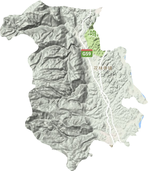 花林寺镇地形图