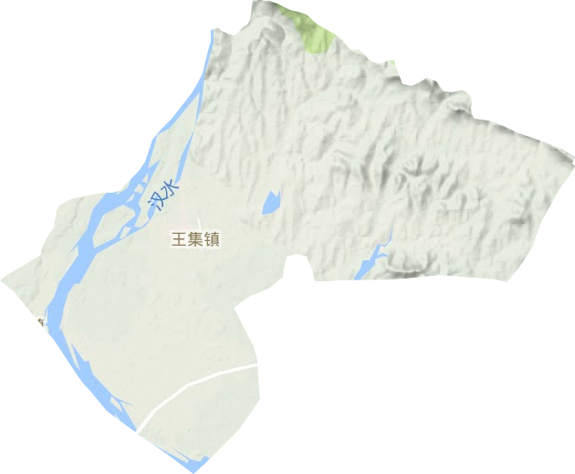 王集镇地形图
