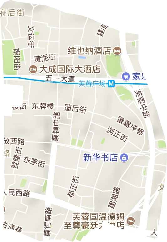 定王台街道地形图