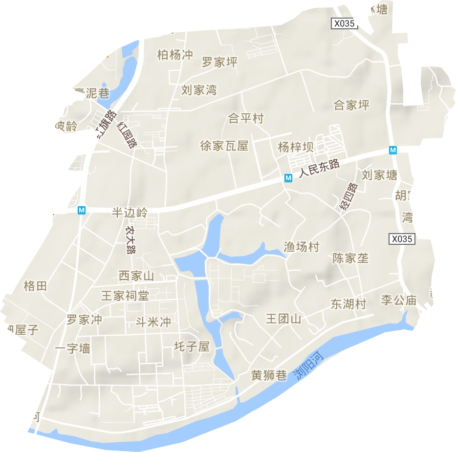 东湖街道地形图