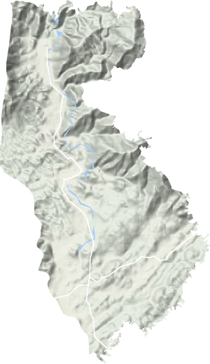 西洋江镇地形图