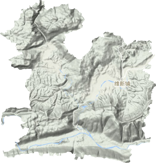 维新镇地形图
