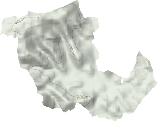 洛浦寺林场地形图