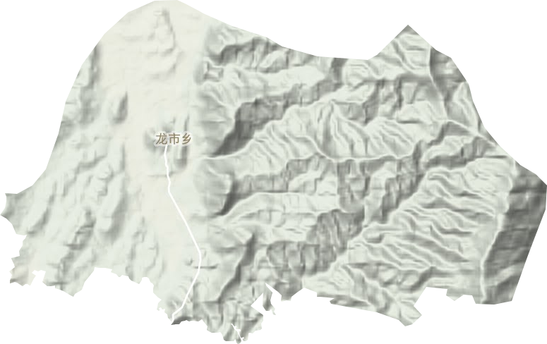 龙市乡地形图