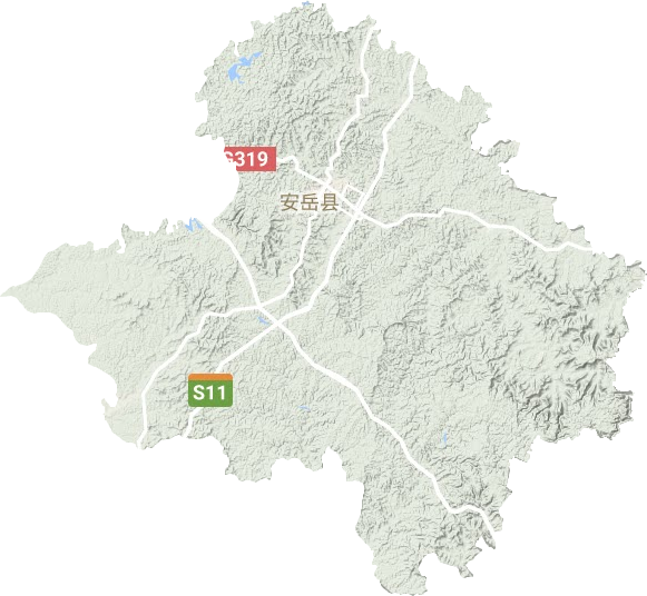 安岳县地形图