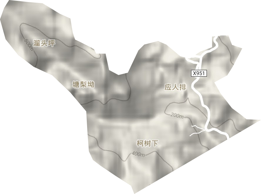 洲瑞林场地形图