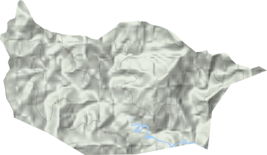 阳东林场地形图