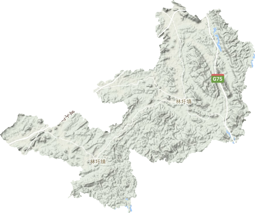 林圩镇地形图