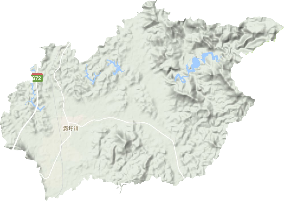 露圩镇地形图