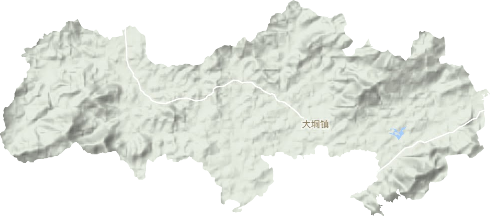 大垌镇地形图