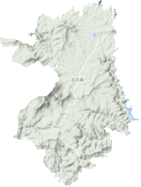 龙凤镇地形图