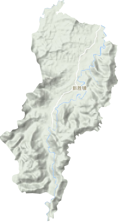 新胜镇地形图