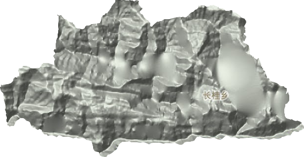 长桂乡地形图