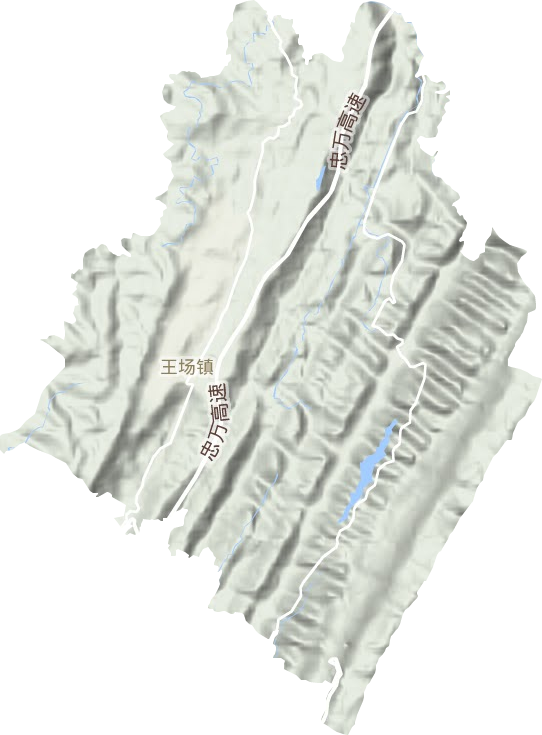 王场镇地形图