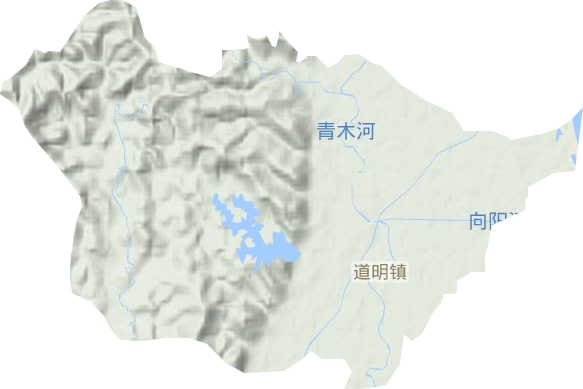 道明镇地形图