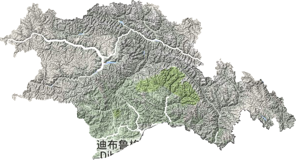 林芝市地形图