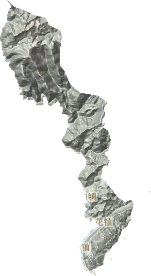 金花镇地形图