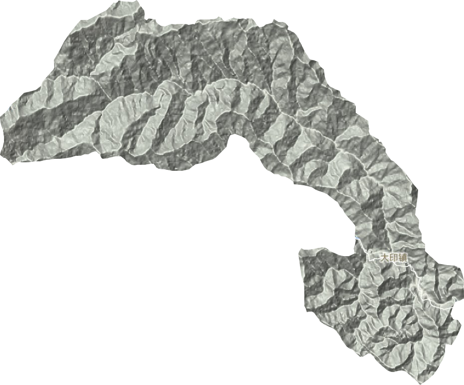 大印镇地形图