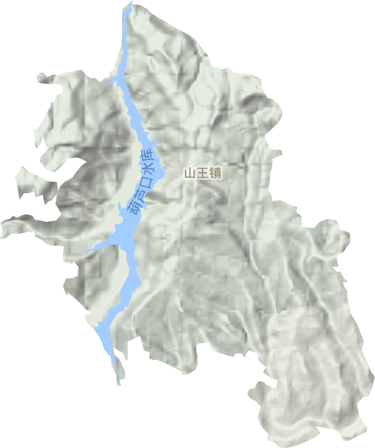 山王镇地形图