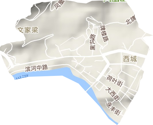 西城街道地形图