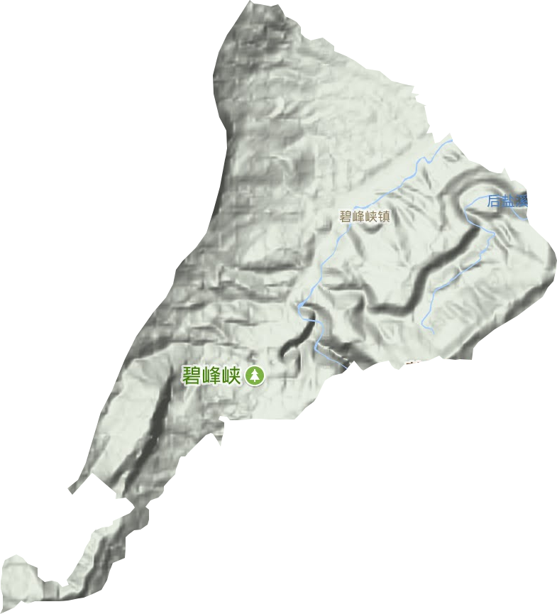 碧峰峡镇地形图