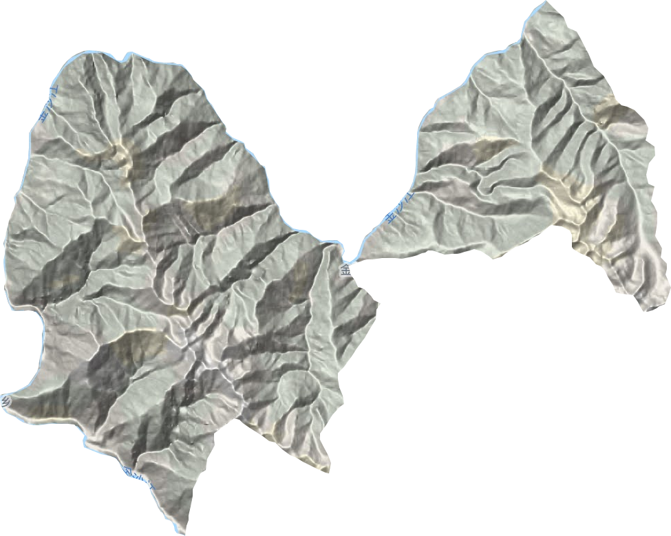 金沙乡地形图