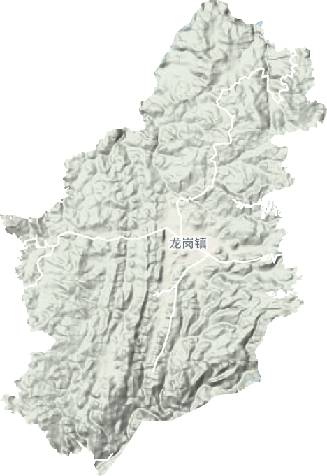龙岗镇地形图