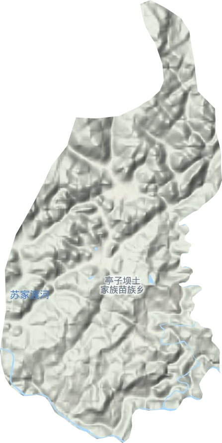 亭子坝镇地形图