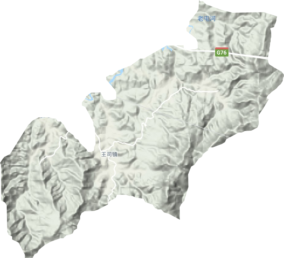 王司镇地形图