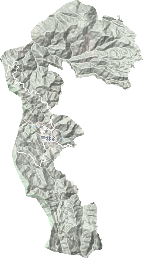 雪林佤族乡地形图
