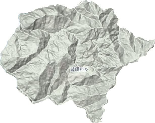 翁嘎科镇地形图