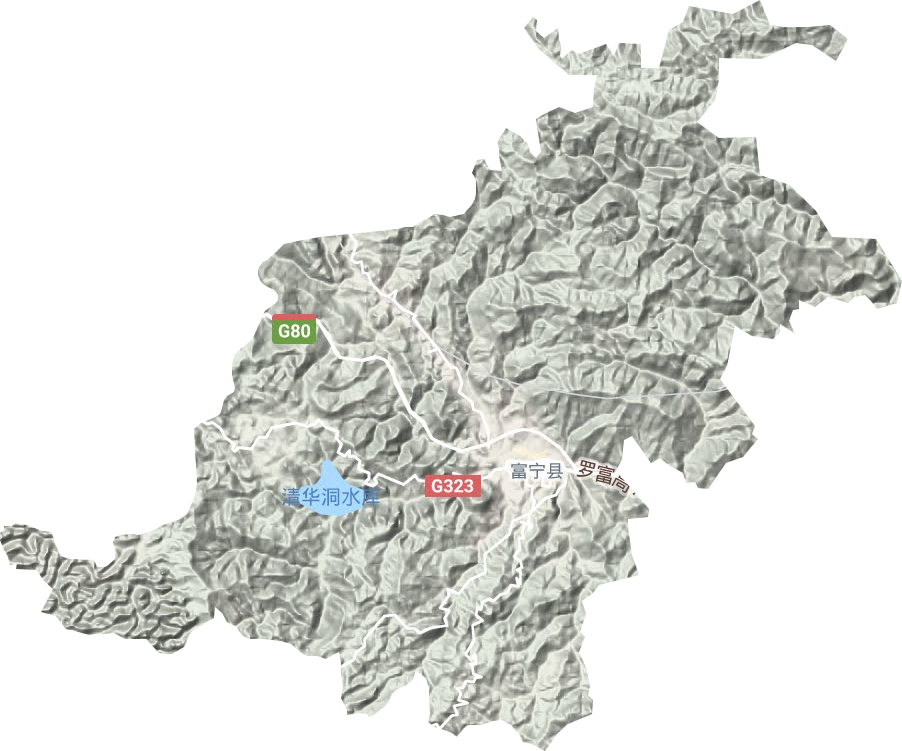 新华镇地形图