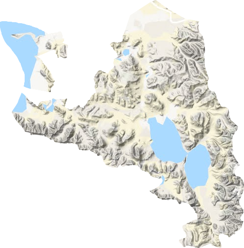 尼果乡地形图
