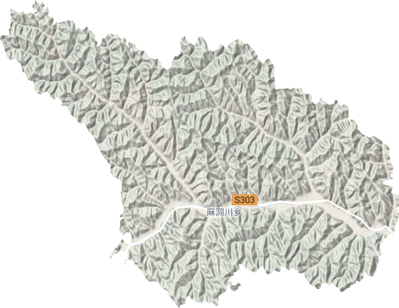 麻洞川乡地形图