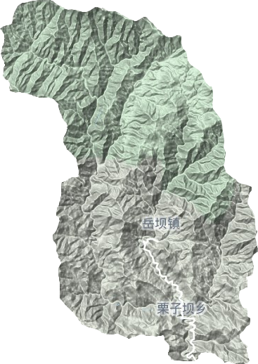 岳坝乡地形图