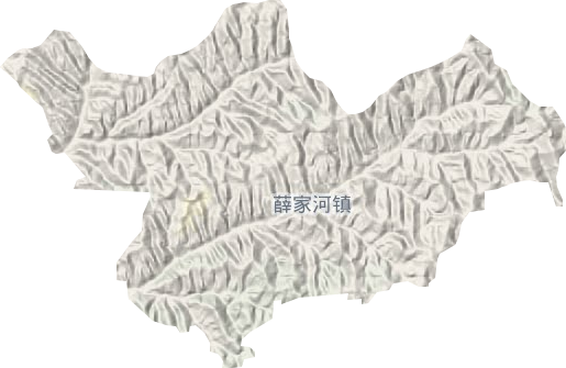 薛家河镇地形图
