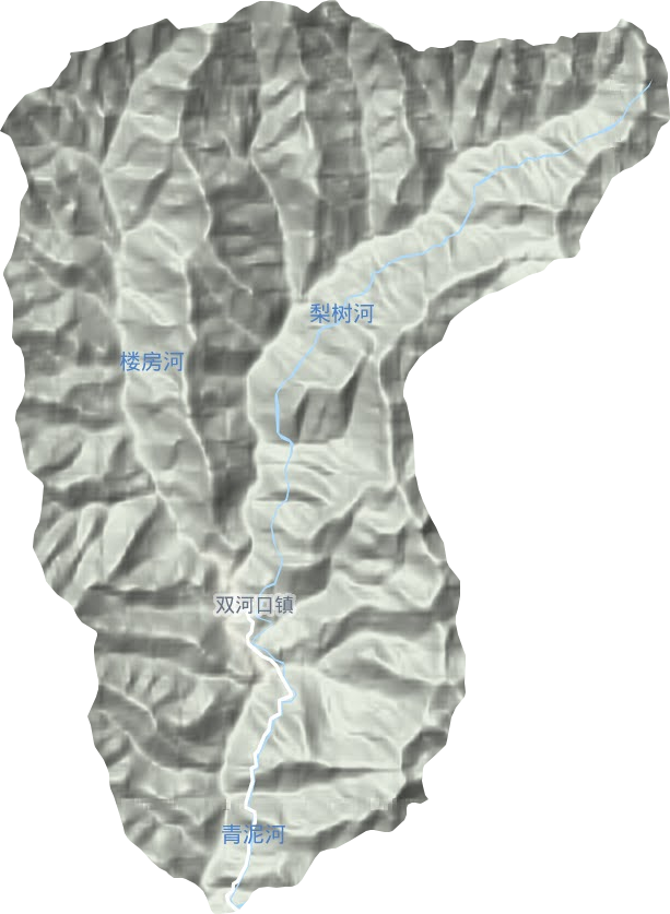 双河口镇地形图